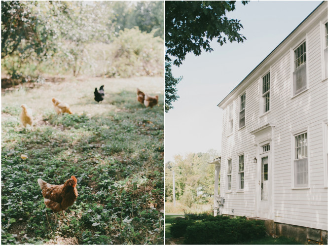 Shady Lane Farm