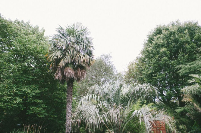 Chelsea Physic Garden