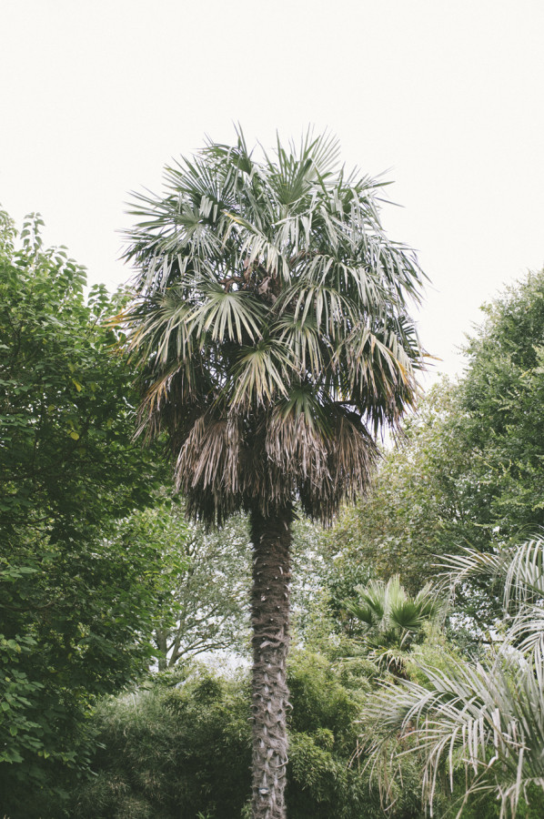 Chelsea Physic Garden