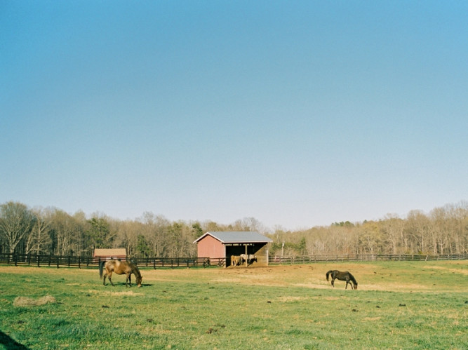 Wolftrap Farm