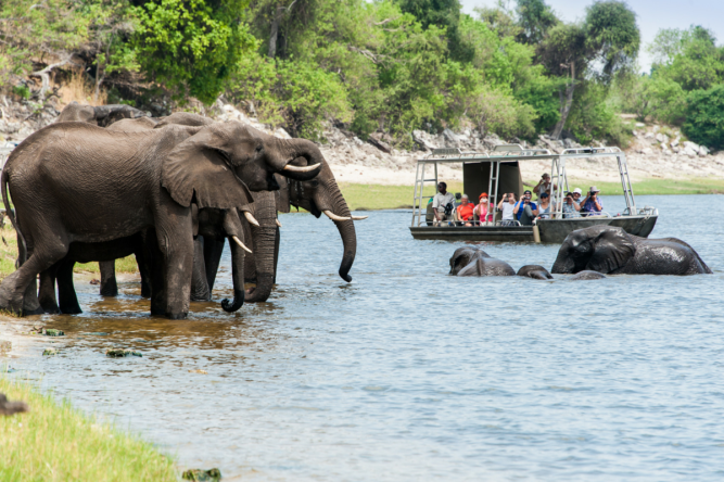 Zambezi Queen