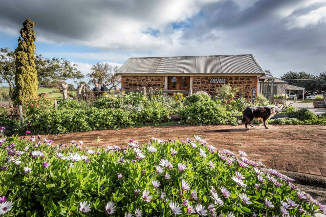 Coriole Vineyards