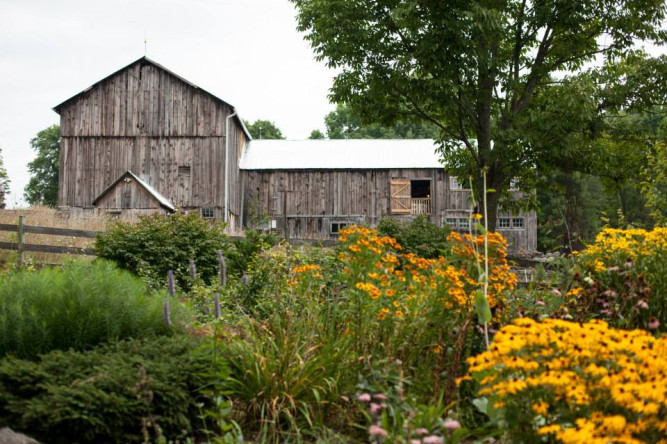 Fox Hill Farm