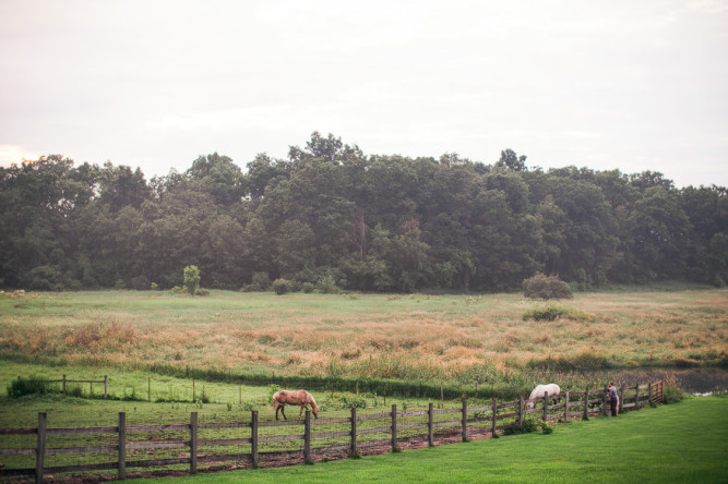 Misty Farm