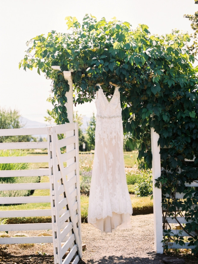 RoxyAnn Weddings at Hillcrest Orchard