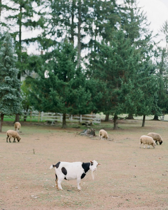 Ash Mill Farm Bed & Breakfast