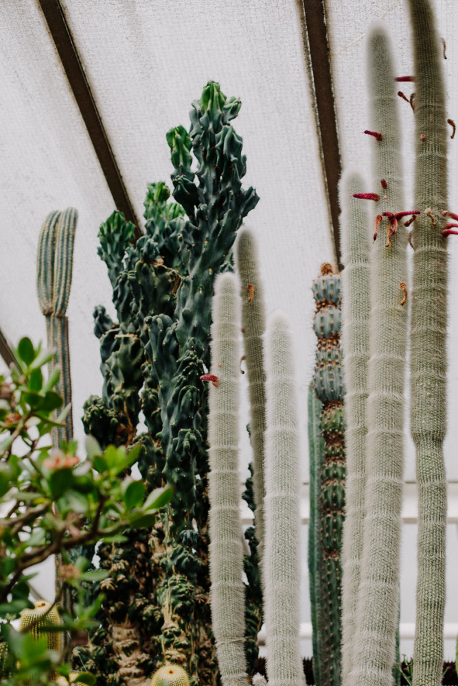 Barbican Conservatory