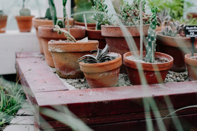 Barbican Conservatory