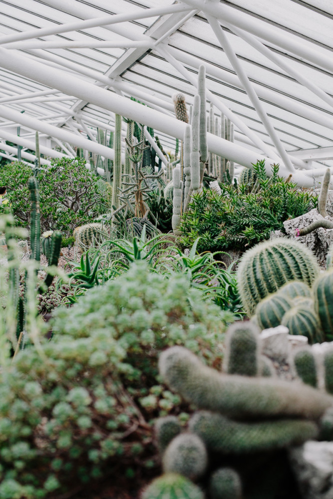 Barbican Conservatory