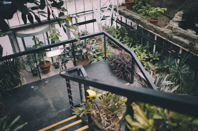 Barbican Conservatory