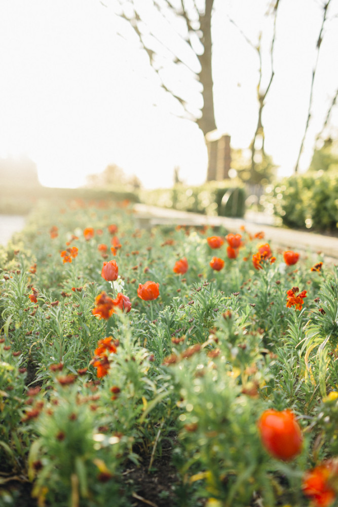 Horniman Museum & Gardens