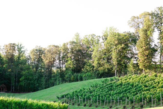 Potomac Point Winery & Vineyard