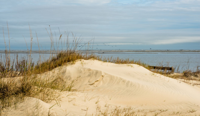 The Lodge on Little St. Simons Island