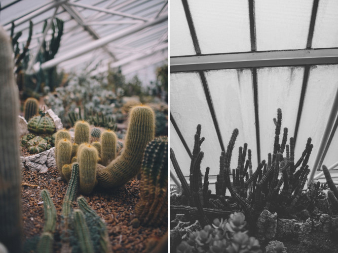 Barbican Conservatory