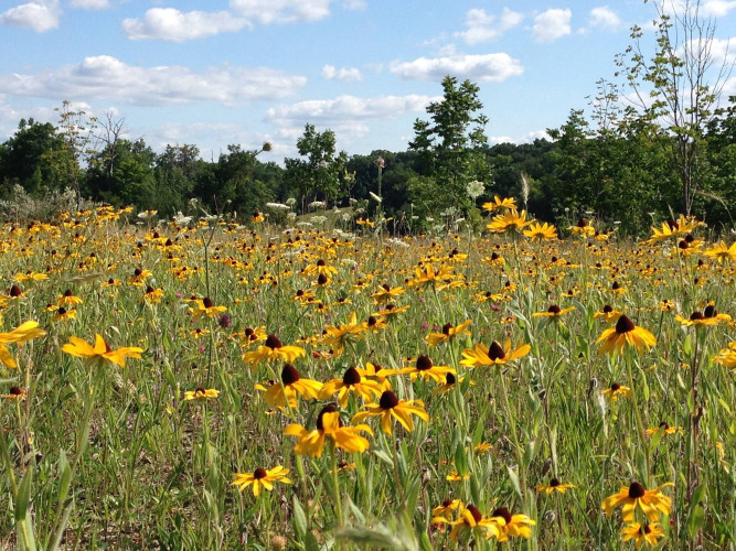 Conservancy for Cuyahoga Valley National Park