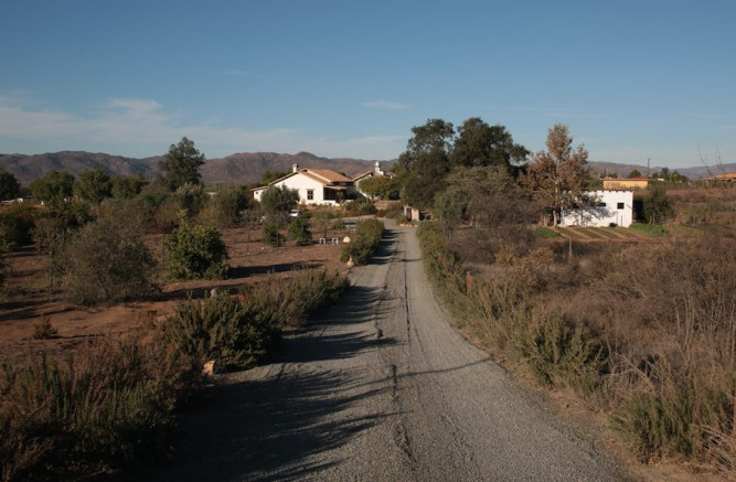 Restaurante Laja