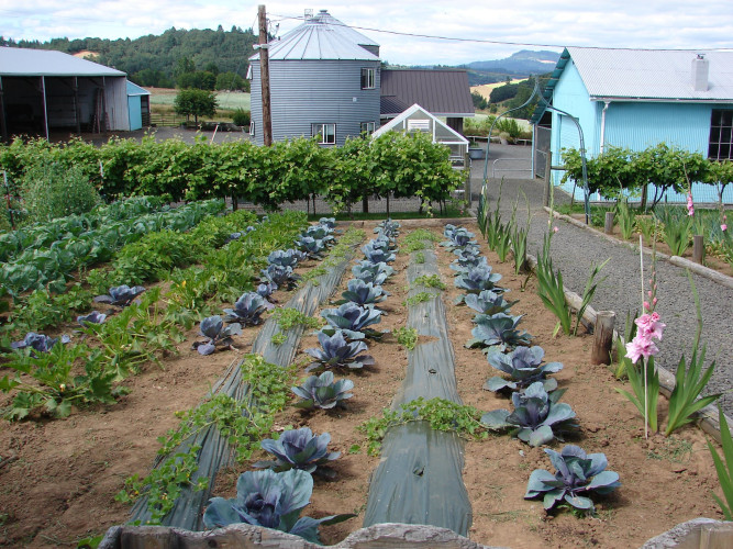 Abbey Road Farm Bed & Breakfast