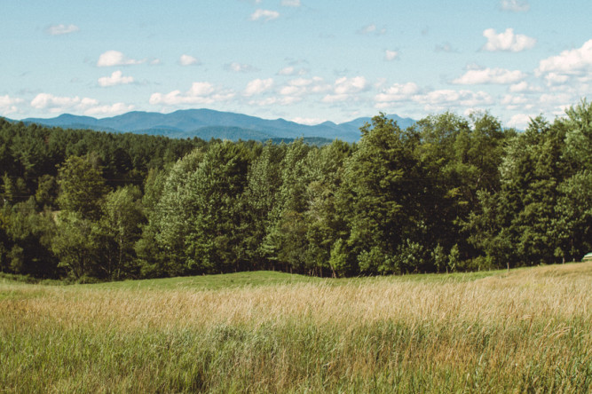 Bliss Ridge Farm