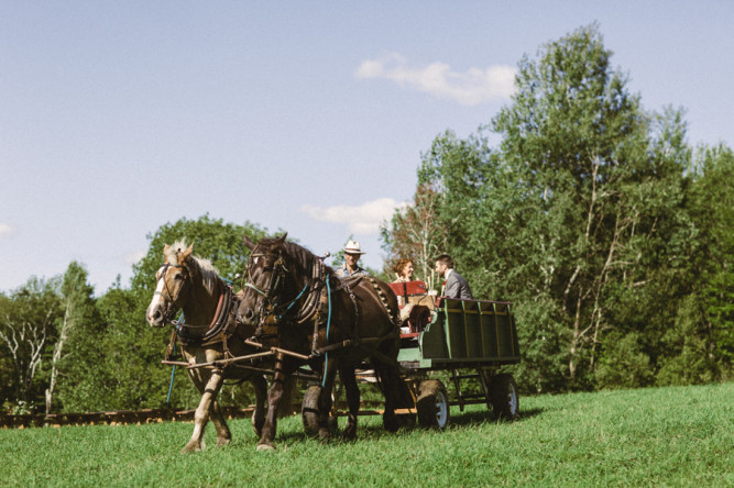 Bliss Ridge Farm