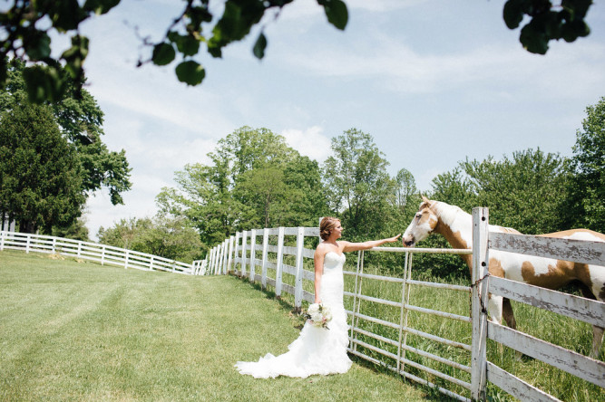 Mountain Laurel Farm