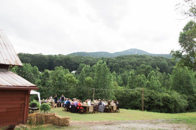 Mountain Laurel Farm