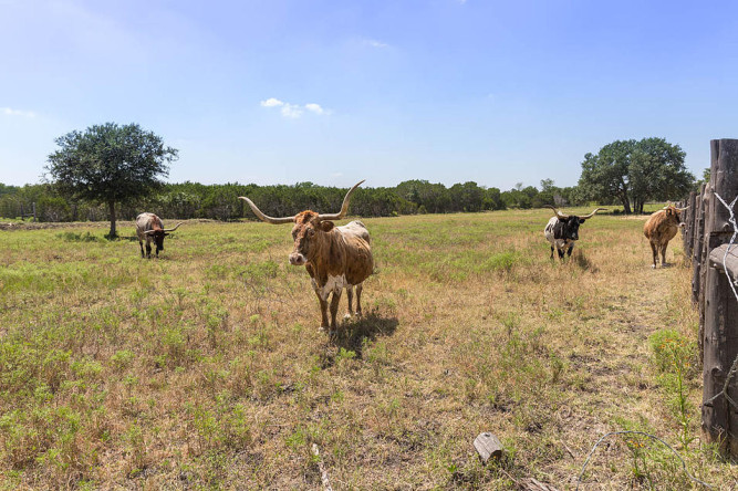 Ranch Austin