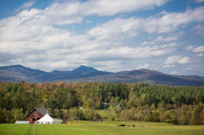 Bliss Ridge Farm