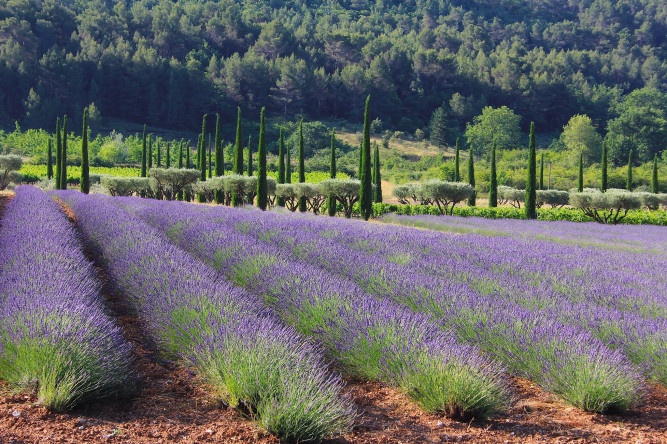 Domaine des Andéols