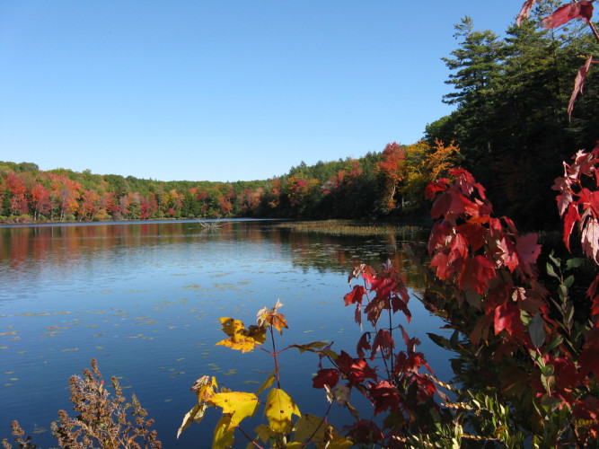 Historic Watres Lodge at Lacawac Sanctuary