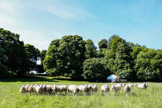 Rock Farm Slane