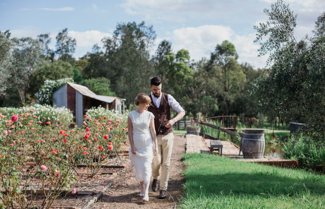 Hanging Tree Wines