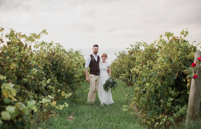 Hanging Tree Wines