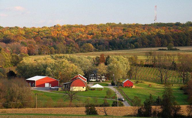 Unionville Vineyards