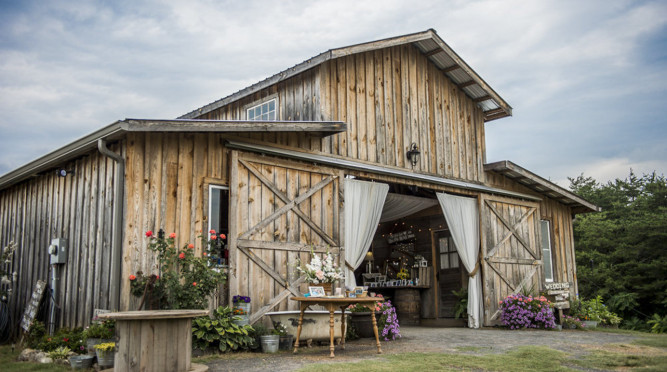 The Barn at Drewia Hill