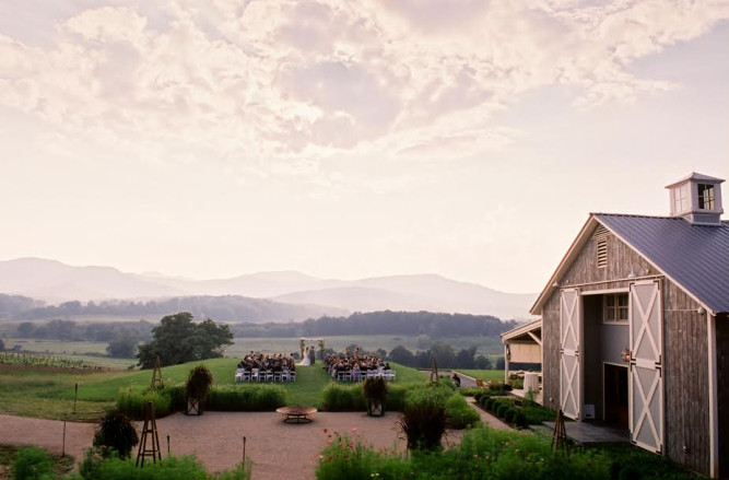 Pippin Hill Farm & Vineyards