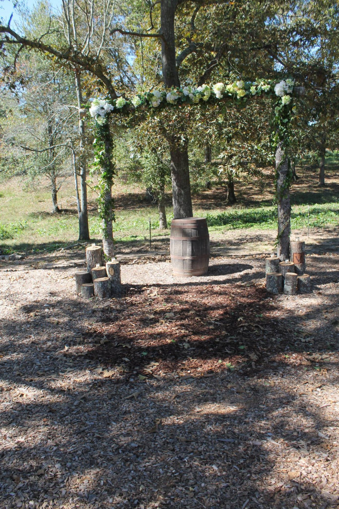 THE BARN at Sierra Springs