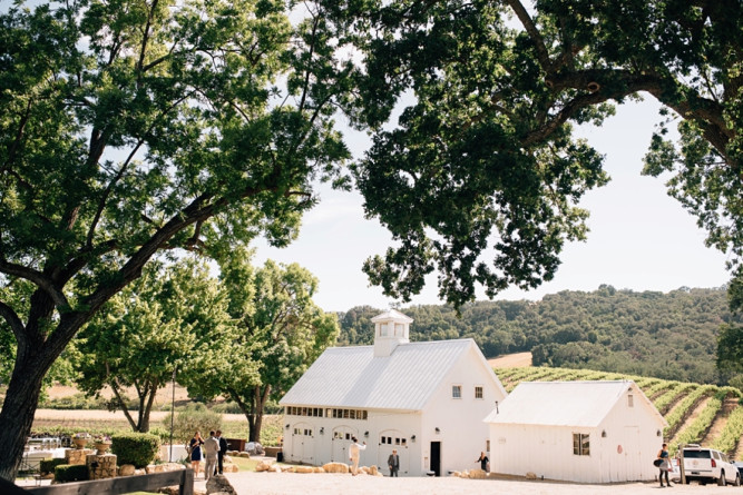 HammerSky Vineyards