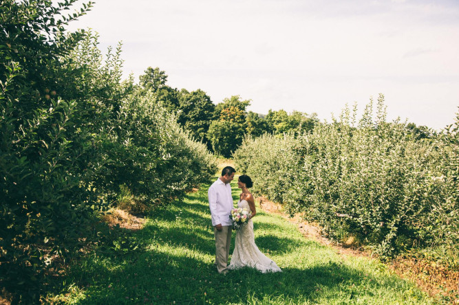 Nostrano Vineyards