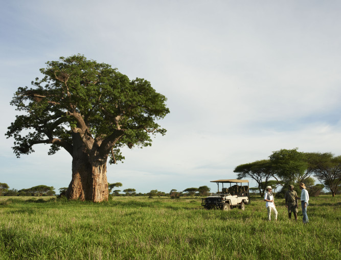 Singita Pamushana Lodge