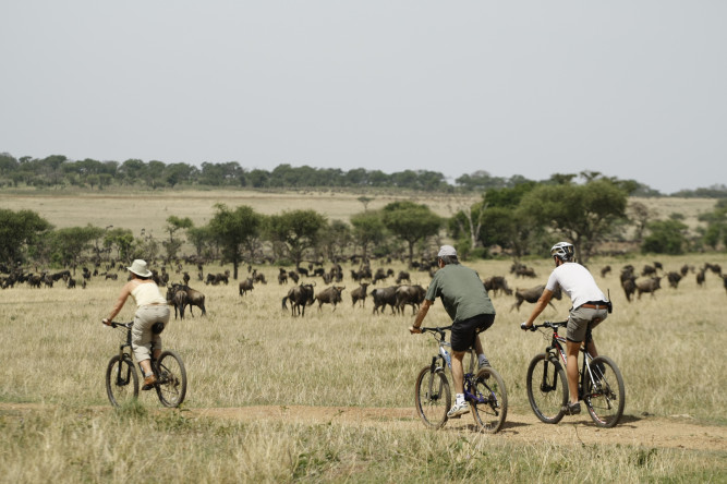 Singita Sasakwa Lodge