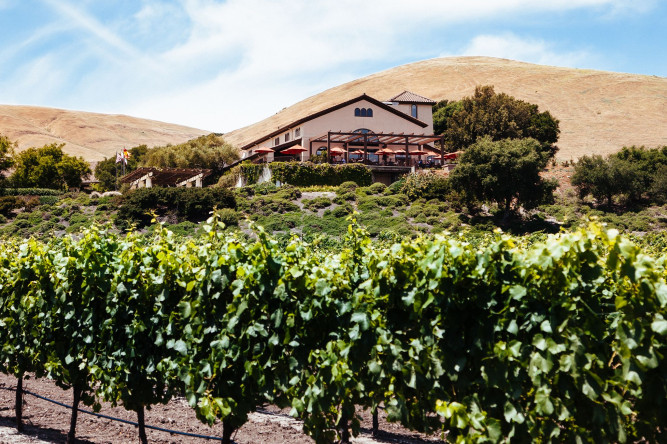 Gloria Ferrer Caves & Vineyards