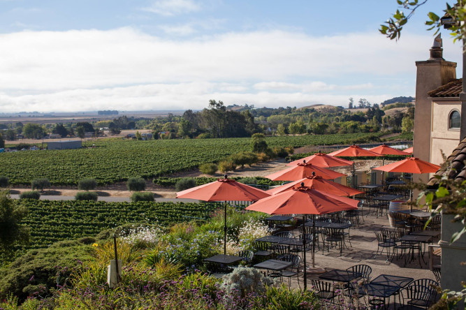 Gloria Ferrer Caves & Vineyards