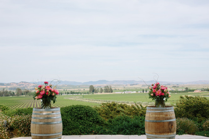 Gloria Ferrer Caves & Vineyards