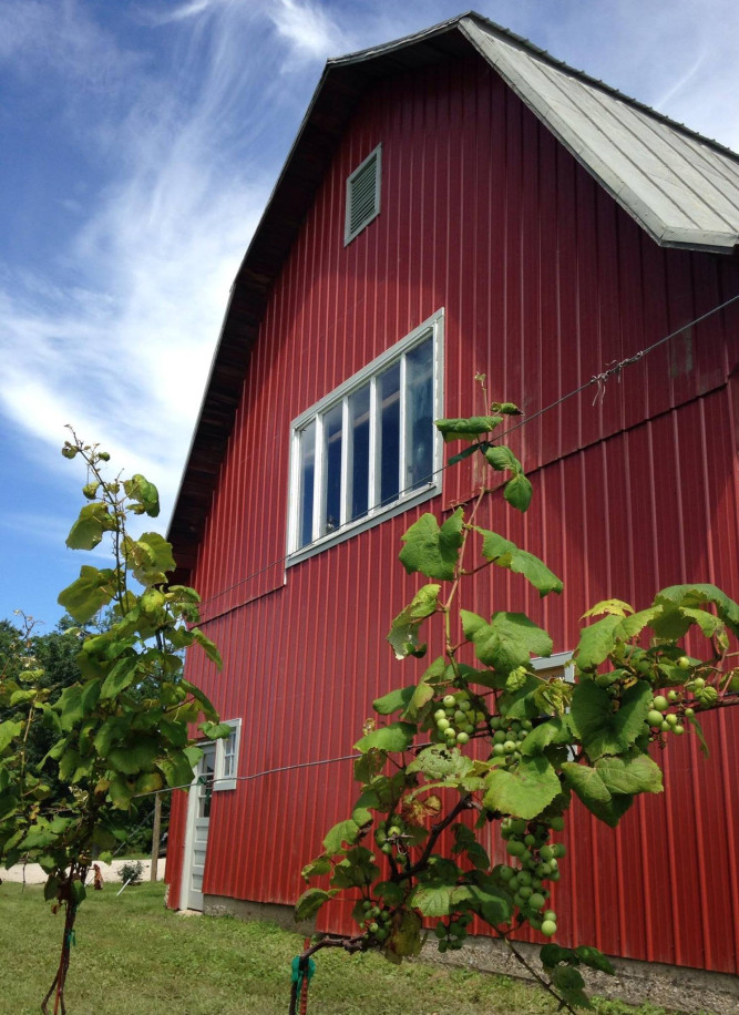 Vineyard at Porter Central