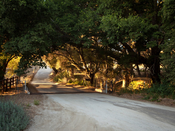 Milagro Winery