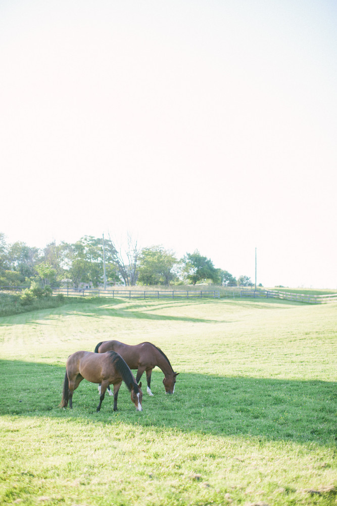 Tranquility Farm