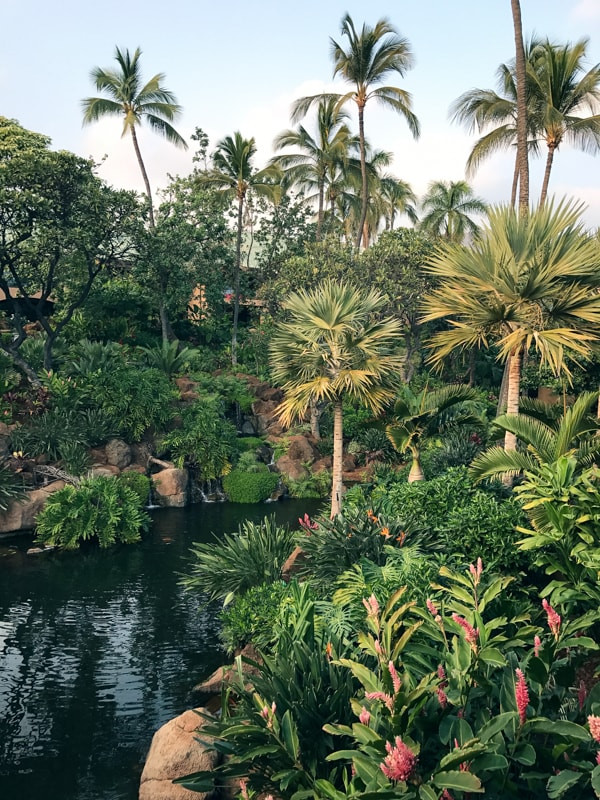 Four Seasons Resort Lanai