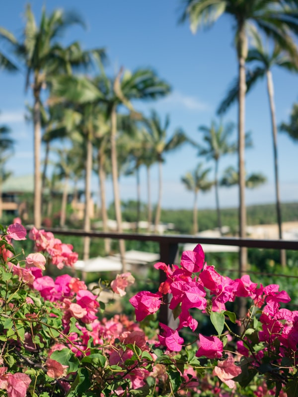 Four Seasons Resort Lanai