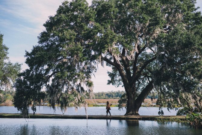 Middleton Place