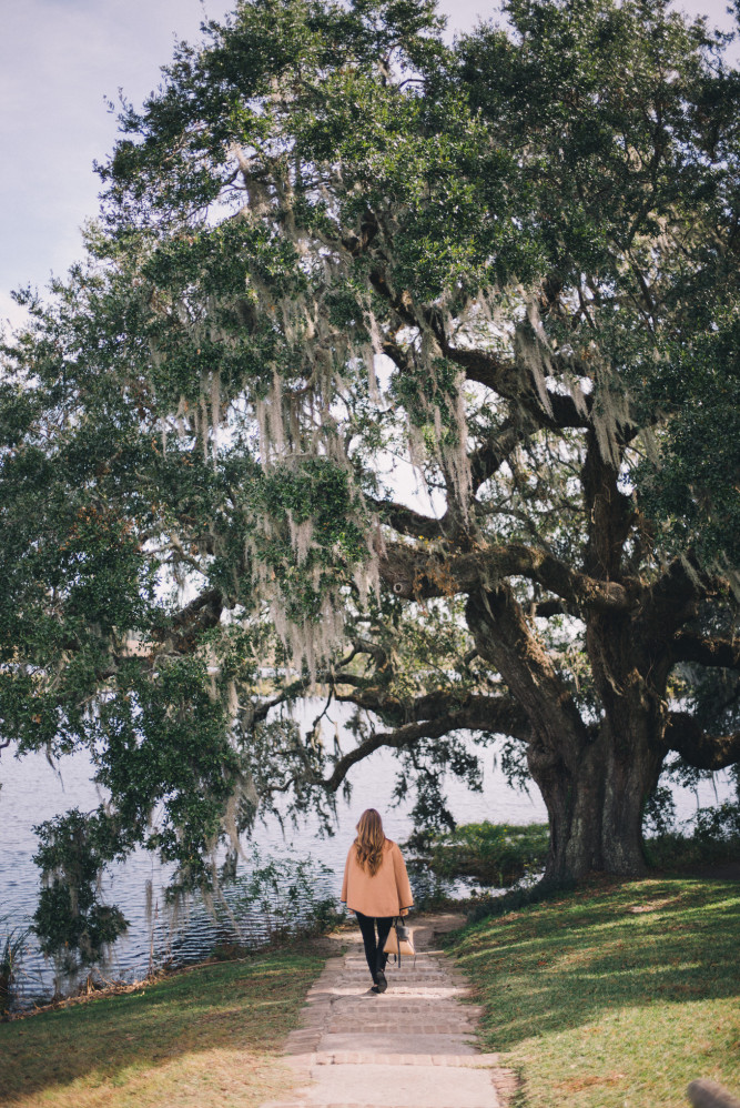 Middleton Place